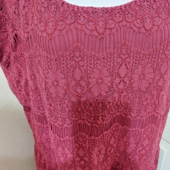 Garnet Hill pink cap sleeve lace dress lined synched waist wedding guest 18 - Picture 4 of 13